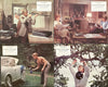 Day of the Jackal (UK Front of House Set of 8 Stills)