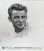 The James Dean Story