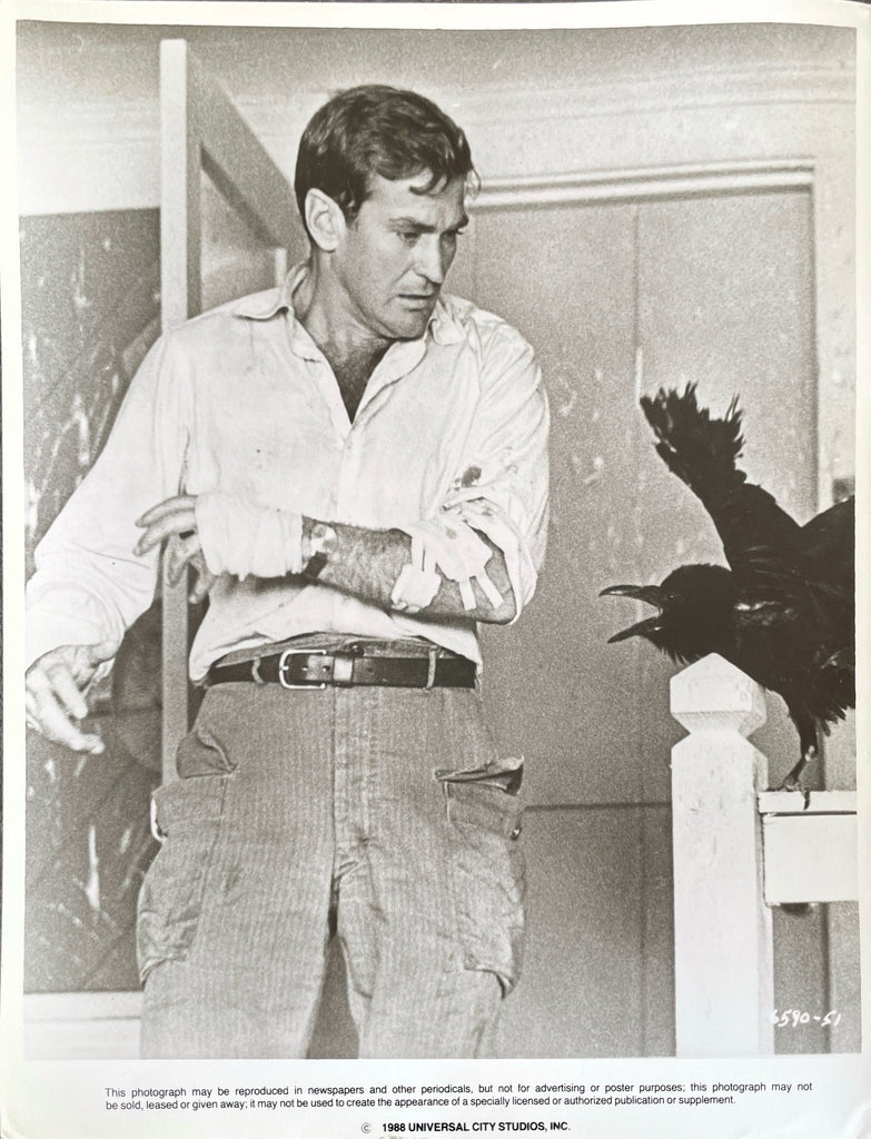 The Birds
