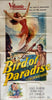 Bird of Paradise