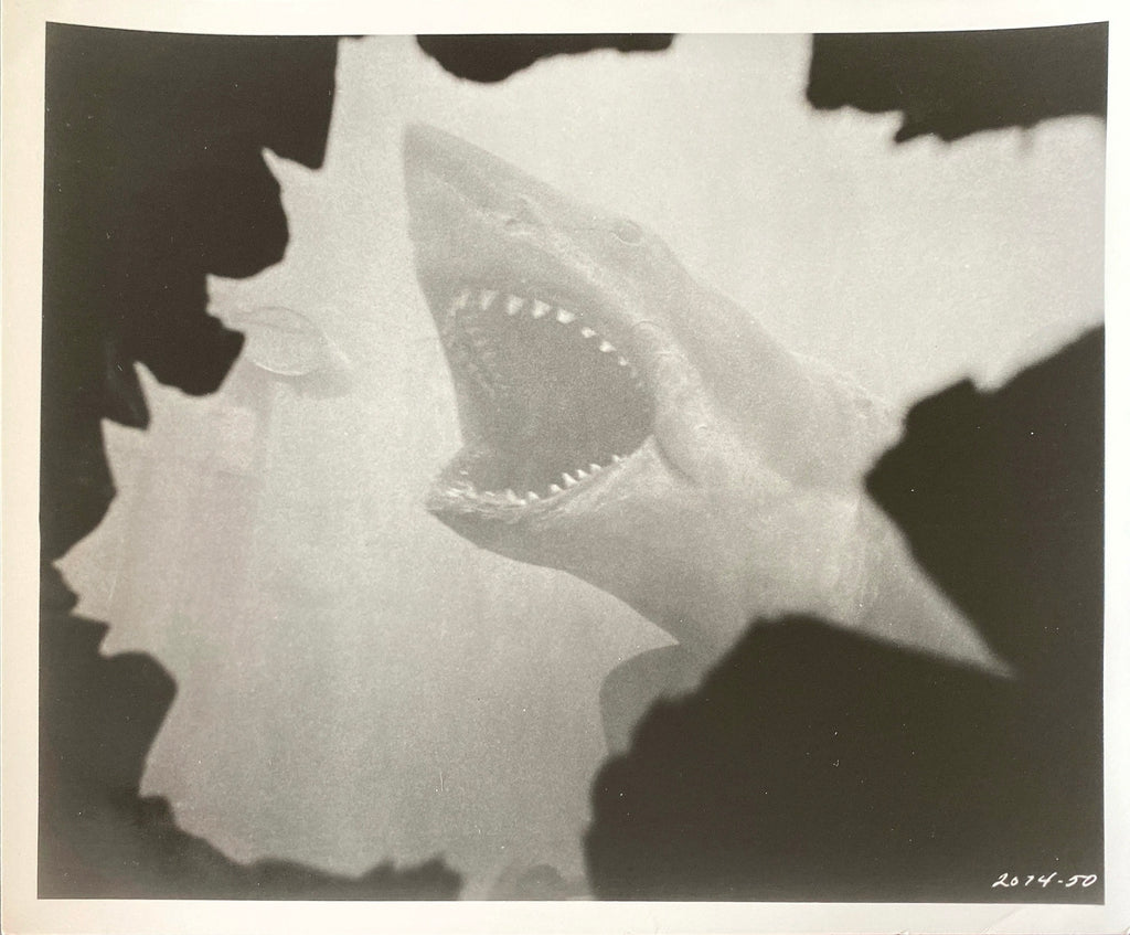Jaws