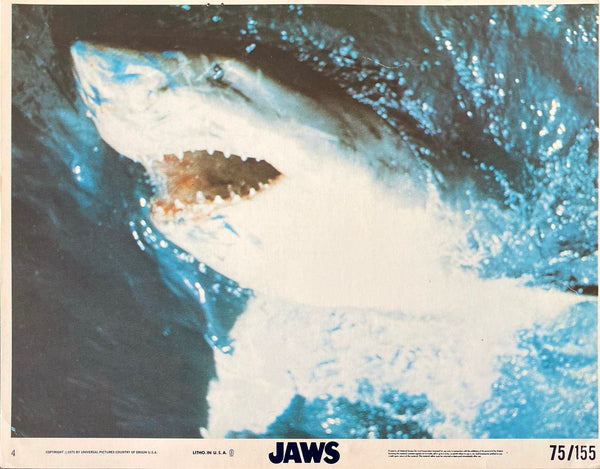Jaws