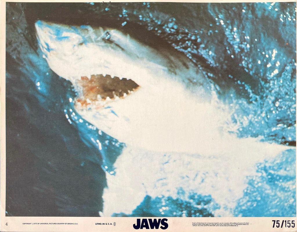 Jaws