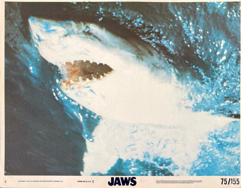 Jaws