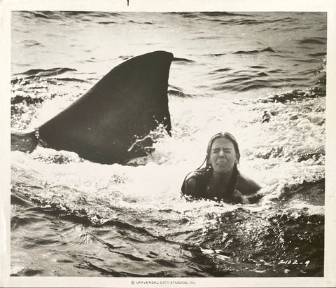Jaws 2