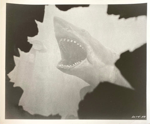 Jaws