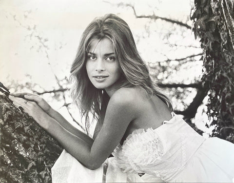 Passion Flower Hotel