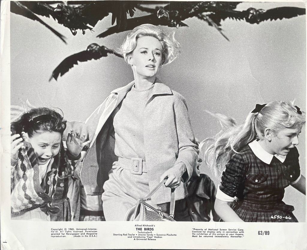 The Birds
