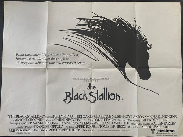 The Black Stallion
