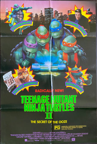 Teenage Mutant Ninja Turtles 2