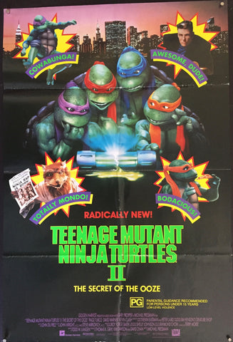 Teenage Mutant Ninja Turtles 2