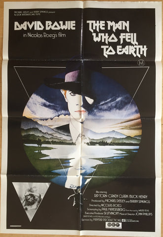 The Man Who Fell To Earth